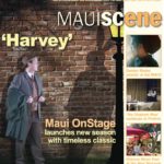 Maui Scene